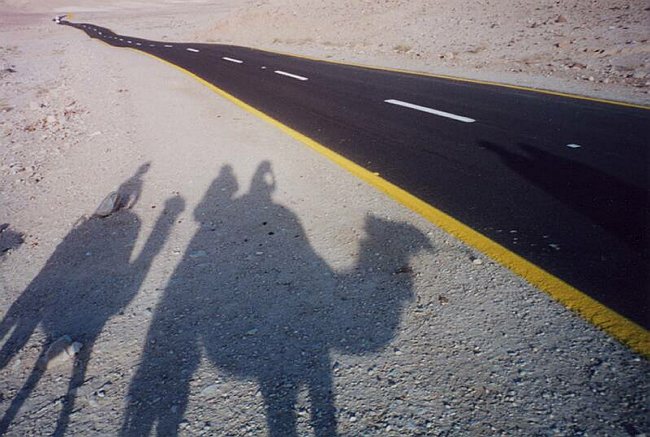 Camel Crossing