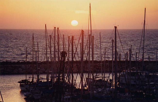 Tel Aviv Sunrise