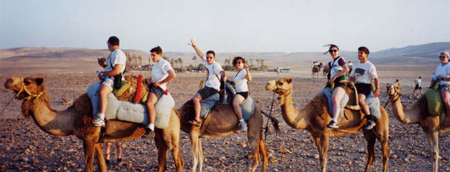 Desert Caravans