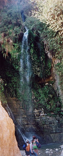 Oasis in Ein Gedi