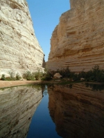 <br><br>Adam Wasserman<br><br>Honourable Mention<br><br>winner-11.jpg