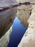 <br><br>Sarah Stern<br><br>Honourable Mention<br><br>winner-36.jpg
